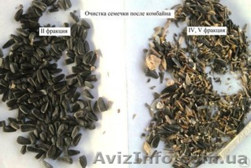 Продам сепаратор зерна (чистка/ калібровка) IСМ-10/5 - <ro>Изображение</ro><ru>Изображение</ru> #9, <ru>Объявление</ru> #1230998