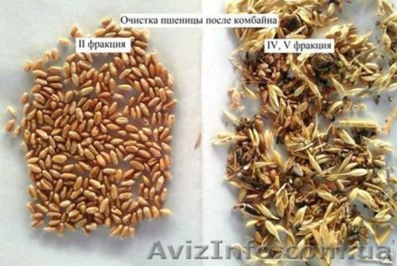 Продам сепаратор зерна (чистка/ калібровка) IСМ-10/5 - <ro>Изображение</ro><ru>Изображение</ru> #8, <ru>Объявление</ru> #1230998