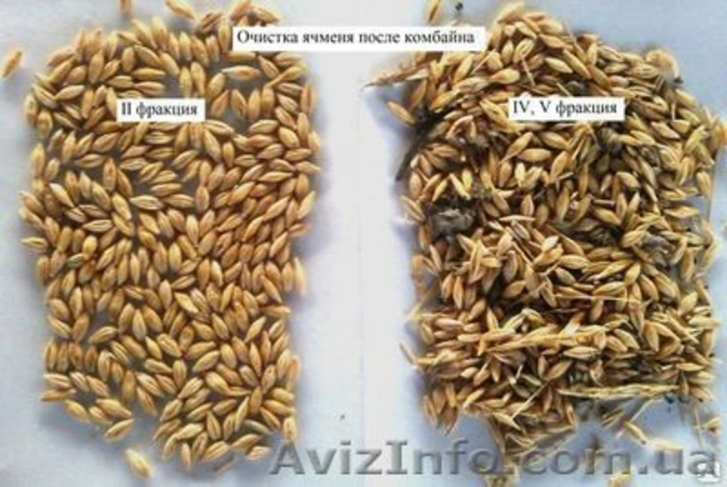 Продам сепаратор зерна (чистка/ калібровка) IСМ-10/5 - <ro>Изображение</ro><ru>Изображение</ru> #7, <ru>Объявление</ru> #1230998