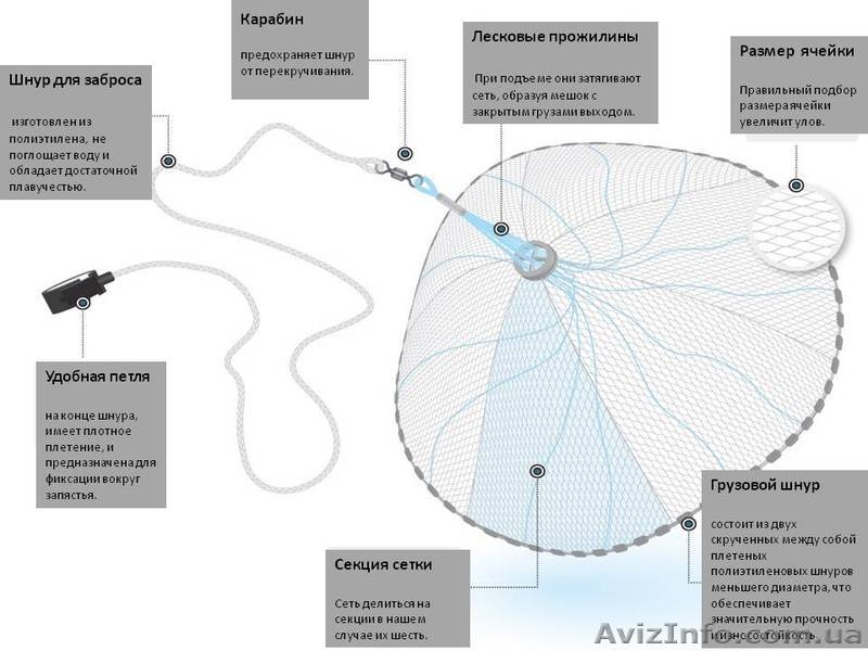 Кастигновую сеть - <ro>Изображение</ro><ru>Изображение</ru> #1, <ru>Объявление</ru> #1235615