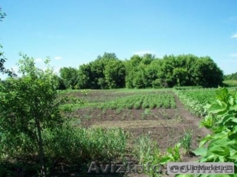 Дом 72м2 с уч 34 сот  - <ro>Изображение</ro><ru>Изображение</ru> #6, <ru>Объявление</ru> #1244874