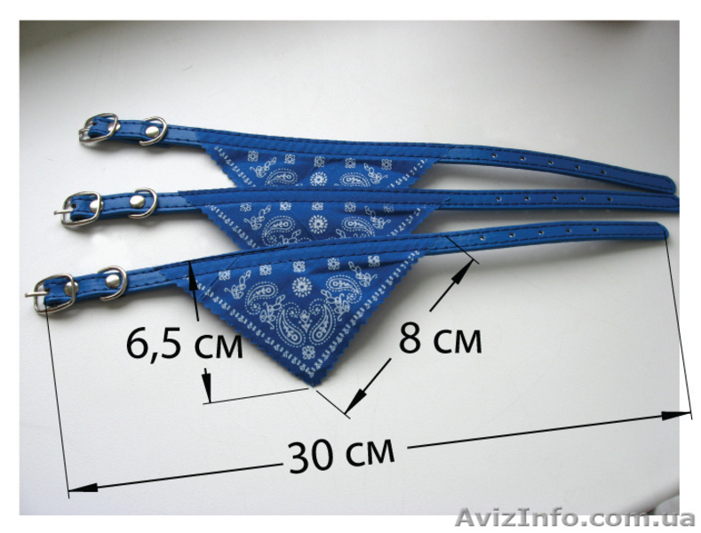 Ошейник для кошек и маленьких собак  - <ro>Изображение</ro><ru>Изображение</ru> #2, <ru>Объявление</ru> #1256391