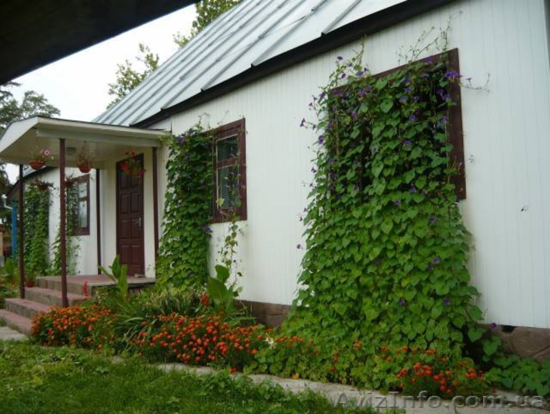 Агрооселя «Зелена садиба», отдых в Коробовых Хуторах - <ro>Изображение</ro><ru>Изображение</ru> #1, <ru>Объявление</ru> #1269486