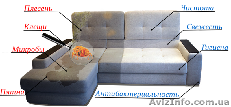 Выездная химчистка удаление пятен и неприятного запаха! - <ro>Изображение</ro><ru>Изображение</ru> #2, <ru>Объявление</ru> #1295582