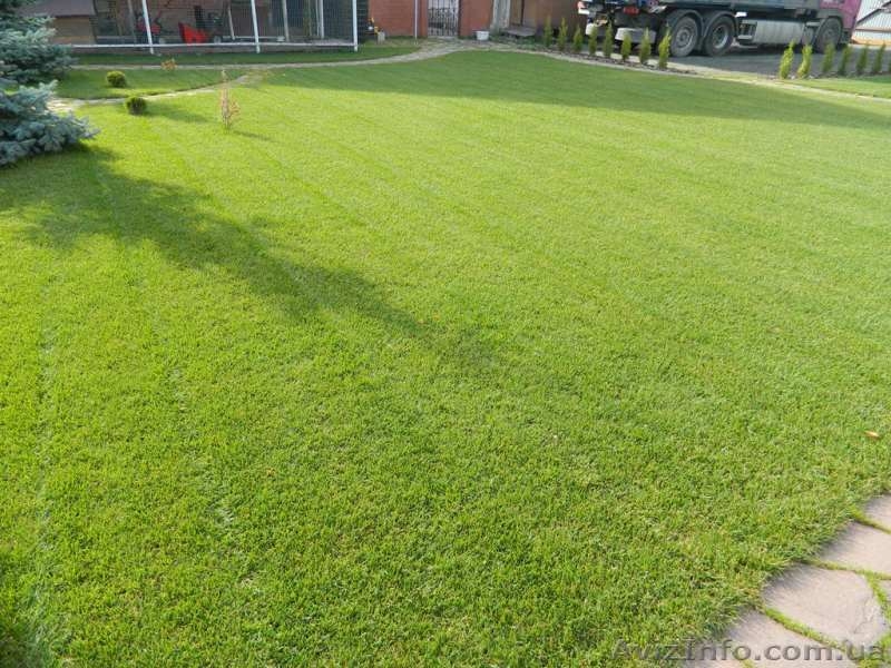Газон рулонный Харьков - <ro>Изображение</ro><ru>Изображение</ru> #3, <ru>Объявление</ru> #1304414