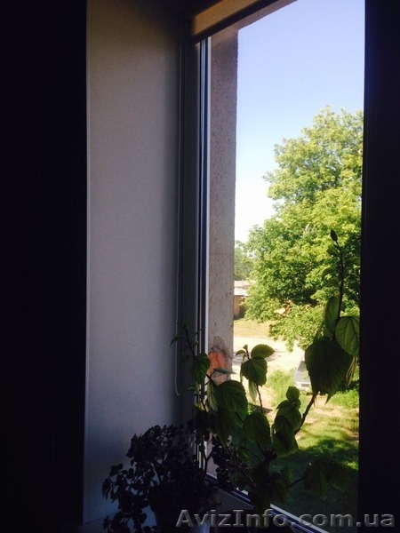 В связи с переездом продам гостинку - <ro>Изображение</ro><ru>Изображение</ru> #3, <ru>Объявление</ru> #1297578