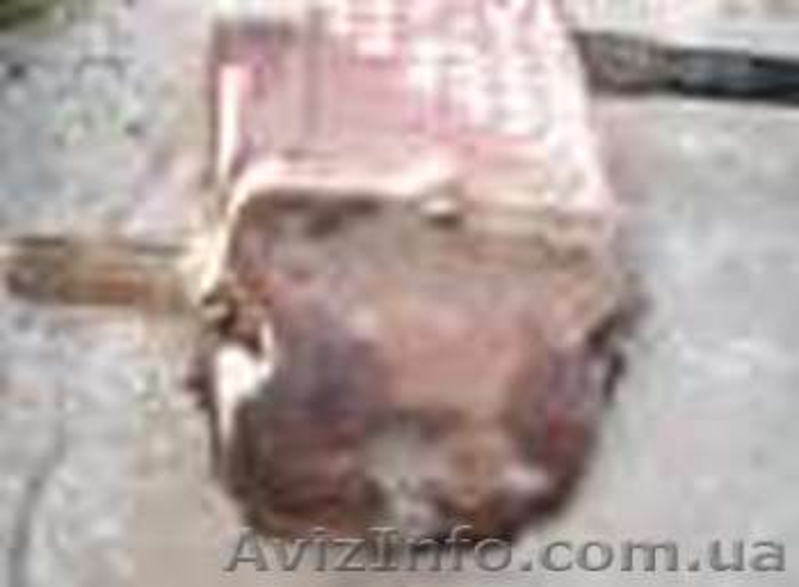 редуктор опв-1200 , опрыскиватель, редуктор опв-2000, вал отбора мощности, т-40, - <ro>Изображение</ro><ru>Изображение</ru> #5, <ru>Объявление</ru> #1298381