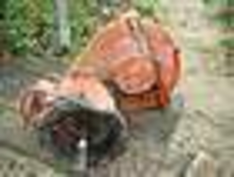 коробка передач (КПП т 25 - главная передача) трактора Т-25 хтз бортовые передач - <ro>Изображение</ro><ru>Изображение</ru> #6, <ru>Объявление</ru> #1304665