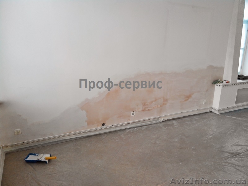 Защита стен, фасадов от плесени, грибка, высолов - <ro>Изображение</ro><ru>Изображение</ru> #2, <ru>Объявление</ru> #1314706