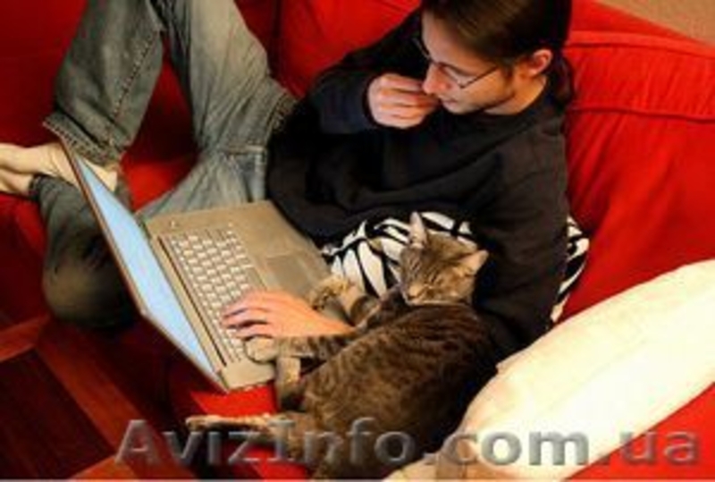 Курсы Java в УЦ "СПрофи" - <ro>Изображение</ro><ru>Изображение</ru> #1, <ru>Объявление</ru> #1309011