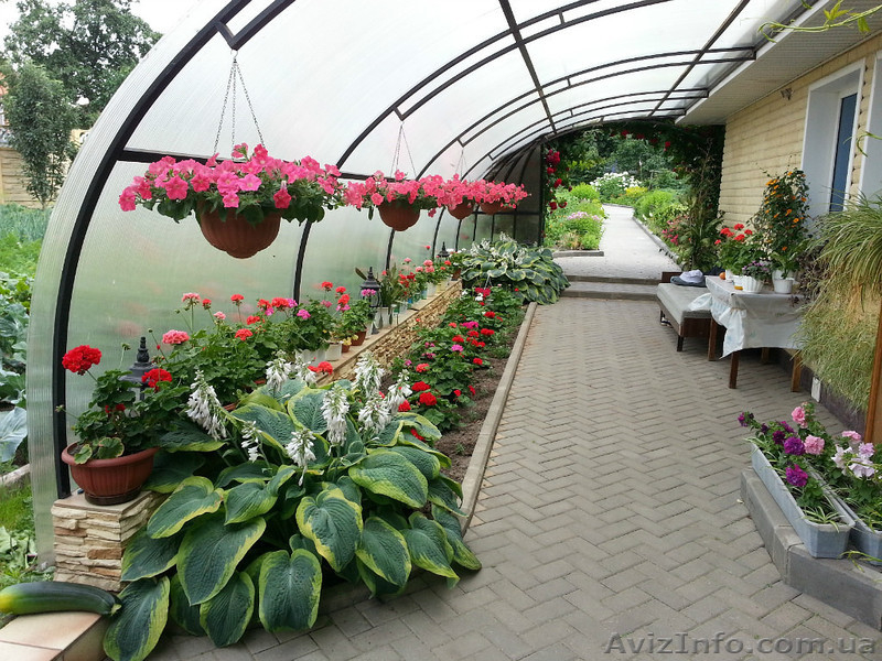 Поликарбонат монолитный и сотовый POLYGAL-MONOGAL с доставкой! - <ro>Изображение</ro><ru>Изображение</ru> #8, <ru>Объявление</ru> #917241