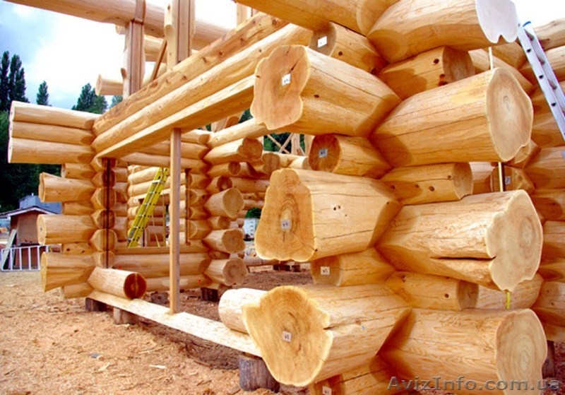  Куплю Лес кругляк - <ro>Изображение</ro><ru>Изображение</ru> #2, <ru>Объявление</ru> #1348441