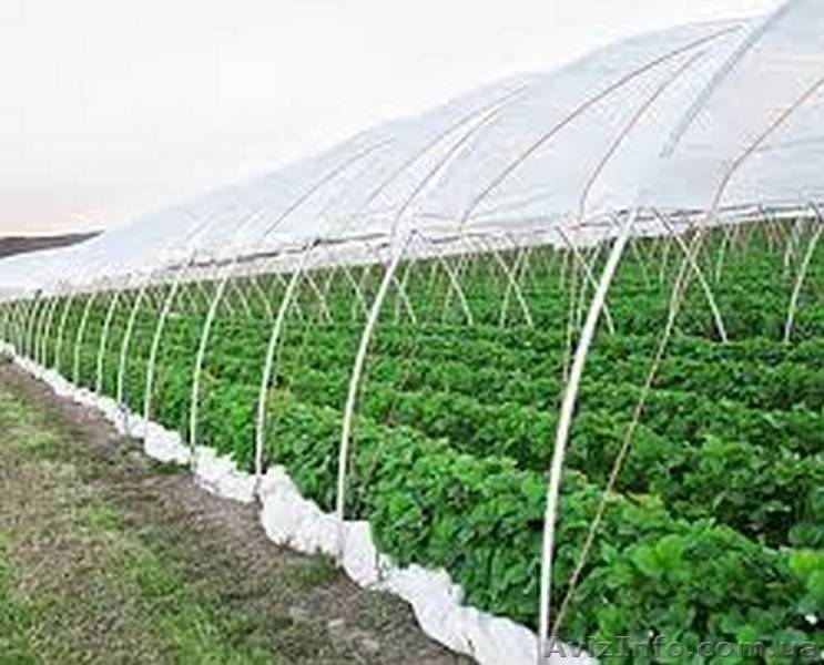 Пленка тепличная из первичного и вторичного сырья от производителя - <ro>Изображение</ro><ru>Изображение</ru> #6, <ru>Объявление</ru> #1347907