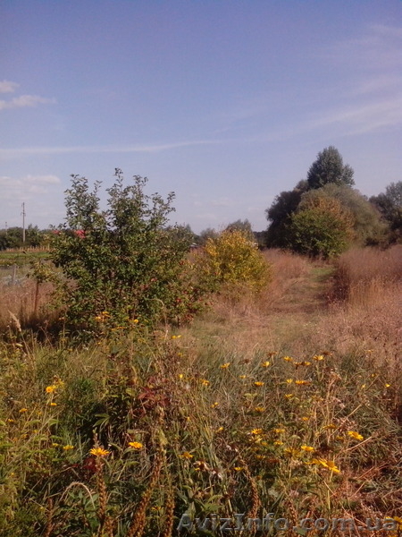 Продам дом в с.Липцы - <ro>Изображение</ro><ru>Изображение</ru> #2, <ru>Объявление</ru> #1375637