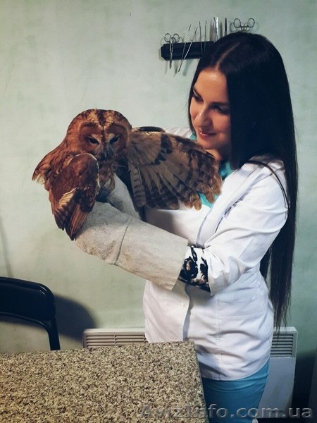 Ветеринарніе услуги - <ro>Изображение</ro><ru>Изображение</ru> #3, <ru>Объявление</ru> #1368955