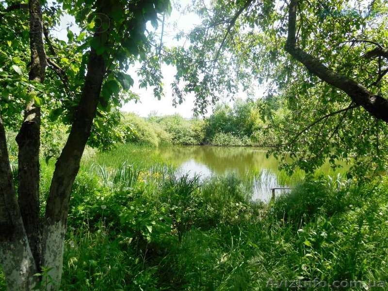 Продам дом в живописном месте с.Борщевая - <ro>Изображение</ro><ru>Изображение</ru> #2, <ru>Объявление</ru> #1375563