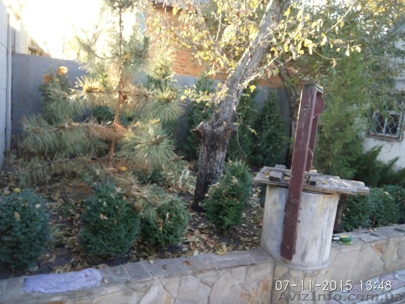 Продажа отличного дома в с.Мартовое!!!!!!!!Печенежский  район. - <ro>Изображение</ro><ru>Изображение</ru> #5, <ru>Объявление</ru> #1369586