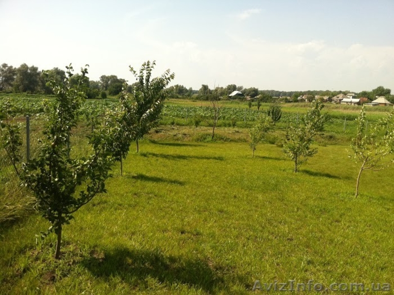 Продажа отличного дома в с.Мартовое!!!!!!!!Печенежский  район. - <ro>Изображение</ro><ru>Изображение</ru> #10, <ru>Объявление</ru> #1369586