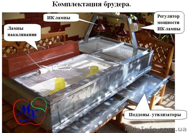 Выращивание цыплят в домашних условиях, брудер. - <ro>Изображение</ro><ru>Изображение</ru> #2, <ru>Объявление</ru> #1391179