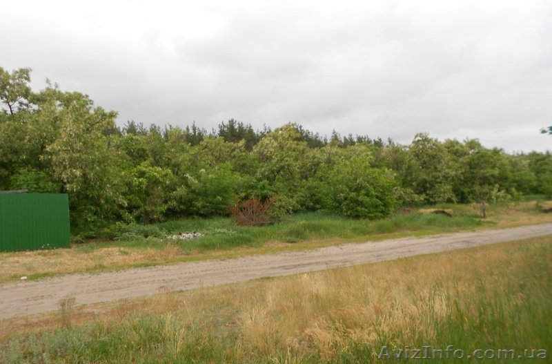 Продам дом в с. Шелудьковка 	 - <ro>Изображение</ro><ru>Изображение</ru> #2, <ru>Объявление</ru> #1416446