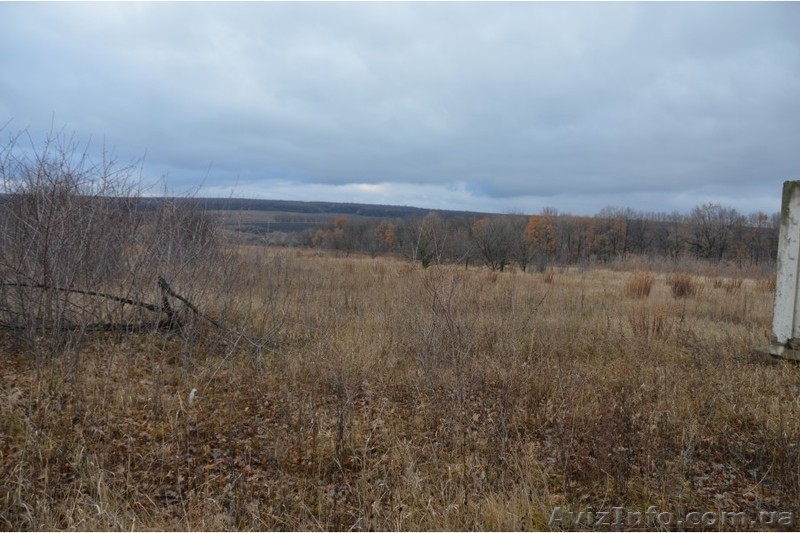 Участок в Циркунах - <ro>Изображение</ro><ru>Изображение</ru> #3, <ru>Объявление</ru> #1430744