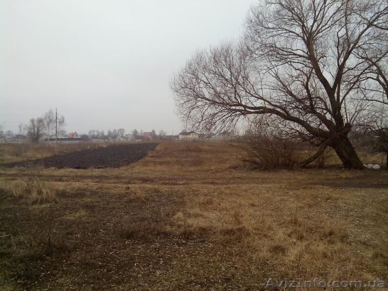 Продам участок в Черкасских Тижках под индивидуальное строительство - <ro>Изображение</ro><ru>Изображение</ru> #4, <ru>Объявление</ru> #1436362