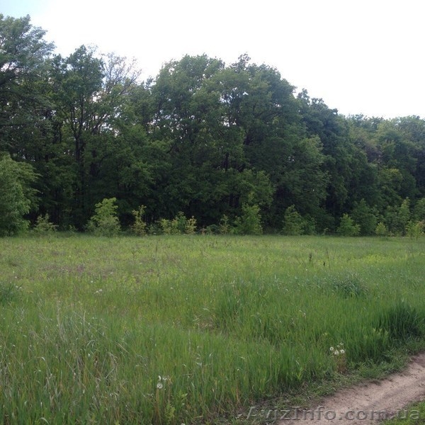 Продам участок под застройку в п.Высоком - <ro>Изображение</ro><ru>Изображение</ru> #3, <ru>Объявление</ru> #1436357