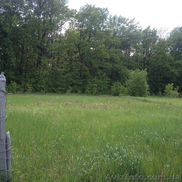 Продам участок под застройку в п.Высоком - <ro>Изображение</ro><ru>Изображение</ru> #5, <ru>Объявление</ru> #1436357