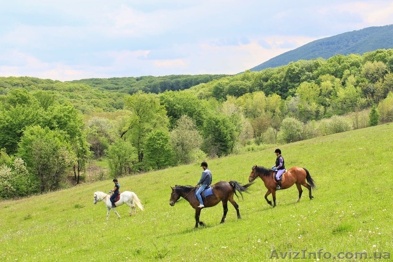 Активный отдых в Карпатах | Активний відпочинок в Карпатах - <ro>Изображение</ro><ru>Изображение</ru> #3, <ru>Объявление</ru> #1448396