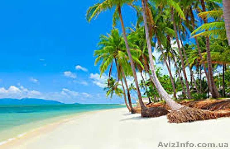 Отдых в Таиланде по выгодным ценам - <ro>Изображение</ro><ru>Изображение</ru> #2, <ru>Объявление</ru> #1488269