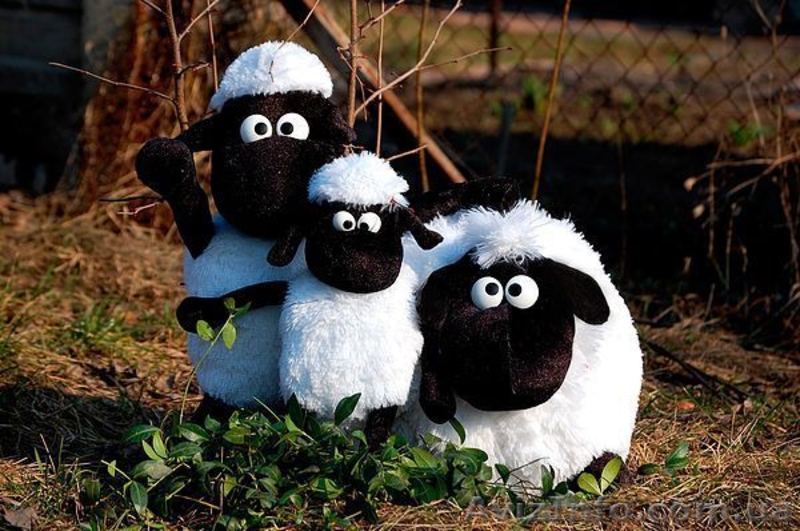 Продаю мягкую игрушки, плюшевые мишки, мягкое сердце, барашек ШОН - <ro>Изображение</ro><ru>Изображение</ru> #5, <ru>Объявление</ru> #1490666