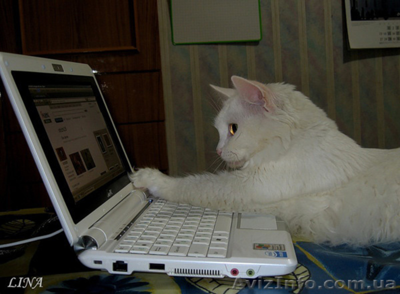  Ремонту телевизоров качественный ремонт телевизоров всех типов: - <ro>Изображение</ro><ru>Изображение</ru> #2, <ru>Объявление</ru> #1507867