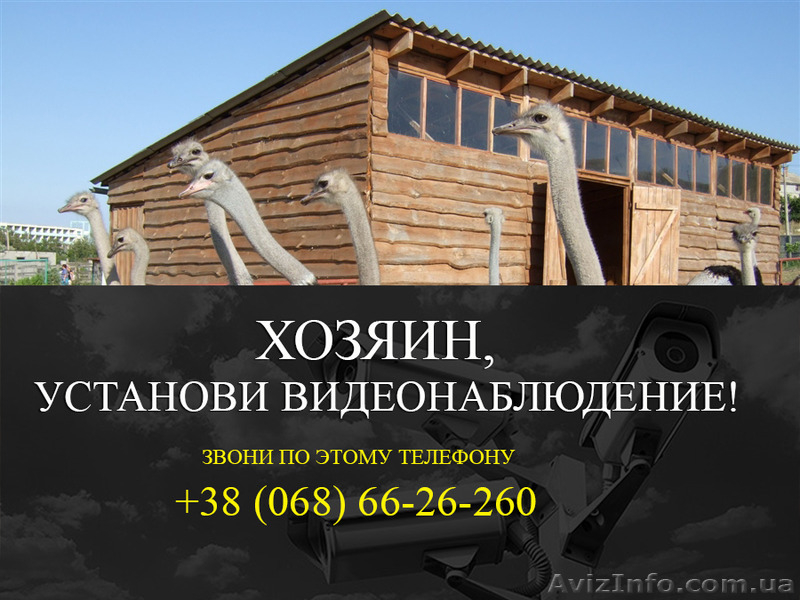 Установить видеонаблюдение на птицеферме - <ro>Изображение</ro><ru>Изображение</ru> #3, <ru>Объявление</ru> #1532717