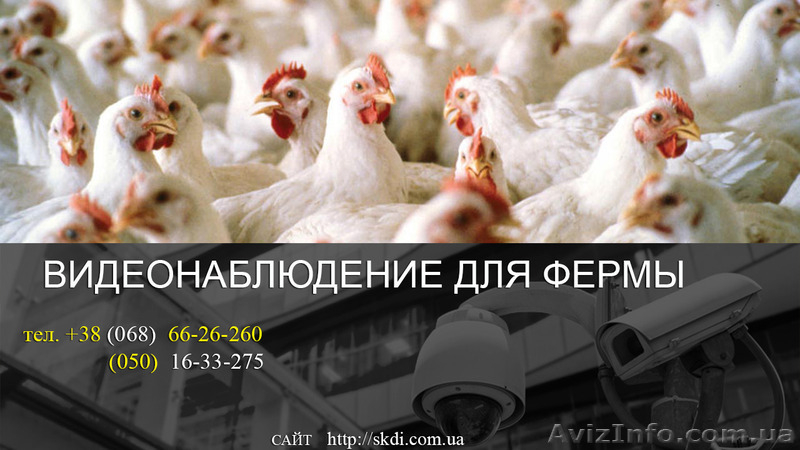 Установить видеонаблюдение на птицеферме - <ro>Изображение</ro><ru>Изображение</ru> #1, <ru>Объявление</ru> #1532717