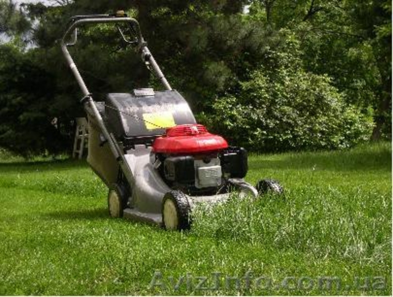 Услуги садовника. Комплексный уход за садом.  - <ro>Изображение</ro><ru>Изображение</ru> #5, <ru>Объявление</ru> #1546159