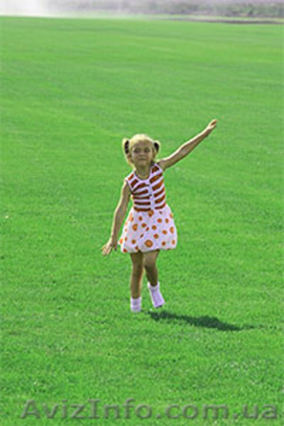 Акция -25% до Среды МАКИТА (Польша) Бензокоса 4,2 кВт Мотокоса Makita Жми - <ro>Изображение</ro><ru>Изображение</ru> #6, <ru>Объявление</ru> #1565121