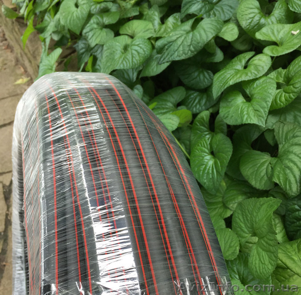 Дешево! Капельный полив Многолетняя трубка 100м Капельница через 30см - <ro>Изображение</ro><ru>Изображение</ru> #3, <ru>Объявление</ru> #1565321