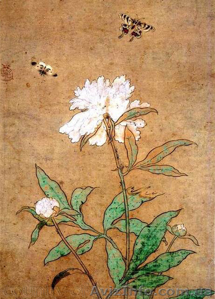 Продам саженцы Пиона и много других растений (опт от 1000 грн).  - <ro>Изображение</ro><ru>Изображение</ru> #1, <ru>Объявление</ru> #1564310