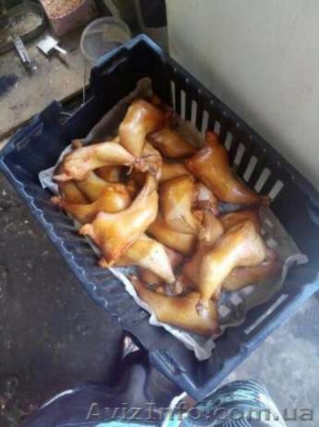 Домашнее горячее копчение (без химии)  - <ro>Изображение</ro><ru>Изображение</ru> #3, <ru>Объявление</ru> #1570419