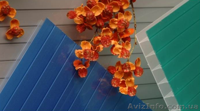 Специальные выды Сотовый поликарбонат Polygal(Израиль) - <ro>Изображение</ro><ru>Изображение</ru> #5, <ru>Объявление</ru> #1570270