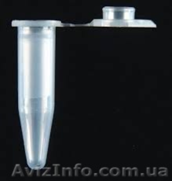 Achaslim — универсальный природный продукт для комплексного ухода за кожей - <ro>Изображение</ro><ru>Изображение</ru> #4, <ru>Объявление</ru> #1571431