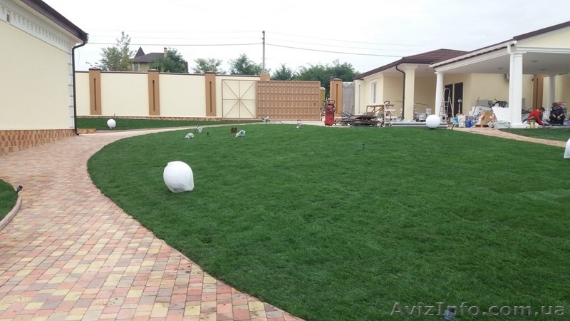 Рулонный газон отличного качества! Продажа и укладка. - <ro>Изображение</ro><ru>Изображение</ru> #3, <ru>Объявление</ru> #1575962