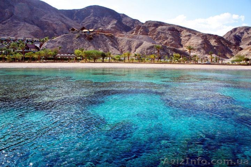 Яркий отдых на Красном море Эйлата - 830$ - <ro>Изображение</ro><ru>Изображение</ru> #4, <ru>Объявление</ru> #1576277