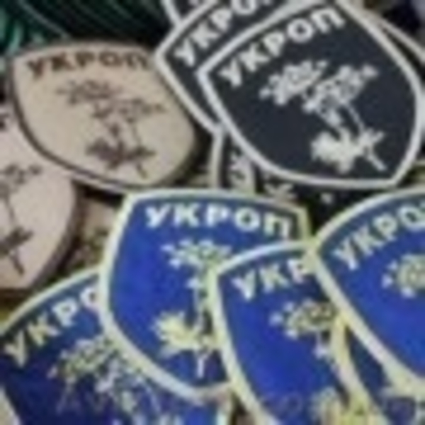 Вышивка шевронов и нашивок на заказ быстро и качественно - <ro>Изображение</ro><ru>Изображение</ru> #4, <ru>Объявление</ru> #1582376