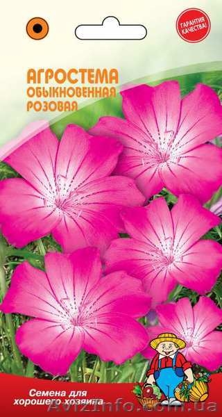 Полный спектр полиграфических услуг от типографии Rodak - <ro>Изображение</ro><ru>Изображение</ru> #3, <ru>Объявление</ru> #1592682