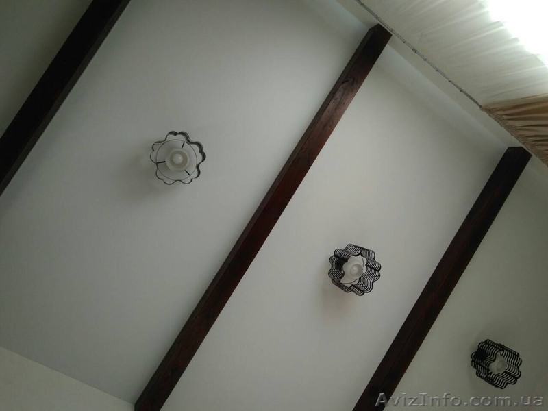 Современный дом с дизайнерским ремонтом. - <ro>Изображение</ro><ru>Изображение</ru> #9, <ru>Объявление</ru> #1606933