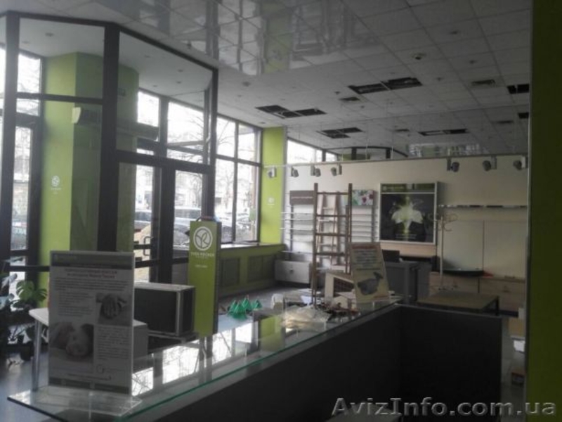 Помещение в центре под магазин, ресторан, банк. - <ro>Изображение</ro><ru>Изображение</ru> #4, <ru>Объявление</ru> #1605237