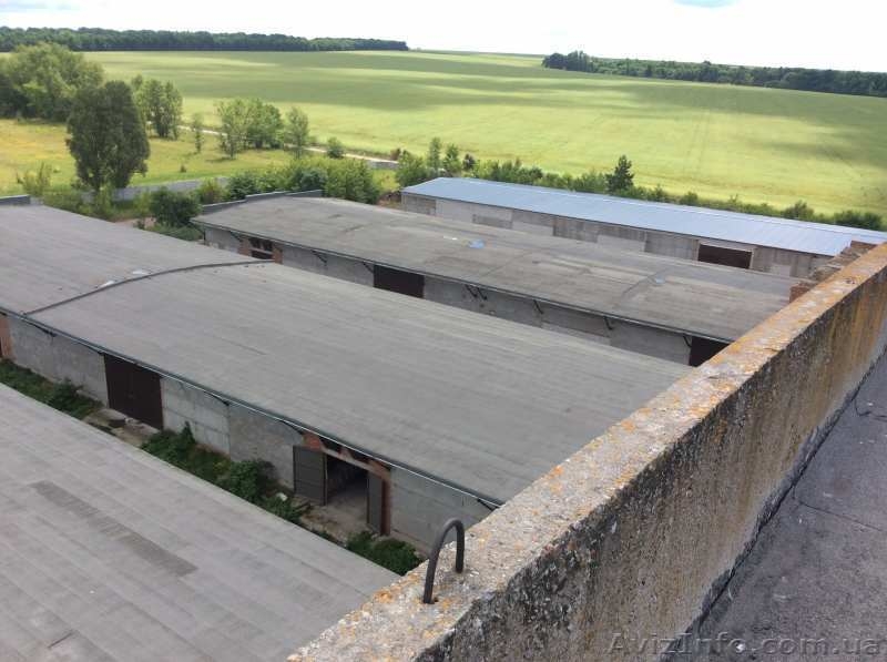 Продается завод г. Богодухов. Харьковская обл. - <ro>Изображение</ro><ru>Изображение</ru> #3, <ru>Объявление</ru> #1616340