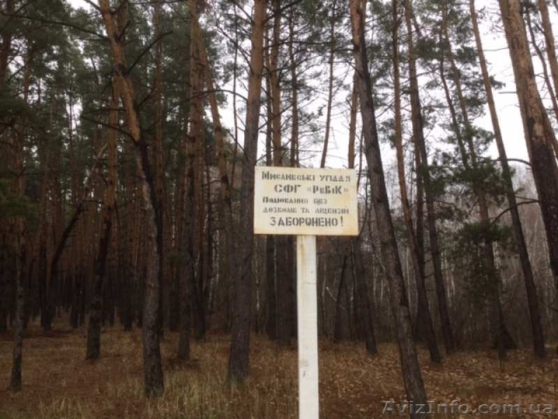 Шикарный участок от собственника 0,22 га - <ro>Изображение</ro><ru>Изображение</ru> #3, <ru>Объявление</ru> #1614337