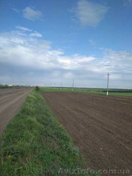 Продажа земли ОСГ в Лозовском р-не Харьковской обл - <ro>Изображение</ro><ru>Изображение</ru> #1, <ru>Объявление</ru> #1624371